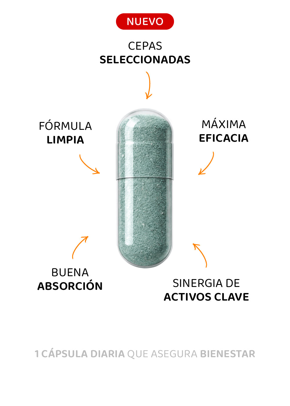 Probióticos + Prebiótico 1K